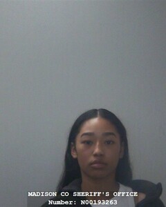 Mugshot of ASHLEY L PARKS