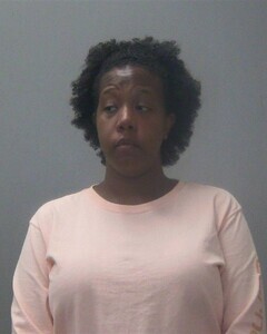Mugshot of BRITTNEY N FLETCHER