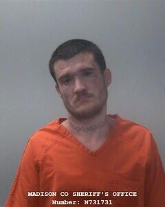 Mugshot of RONNIE L LANIER