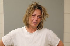 Mugshot of TERRI L BERRY