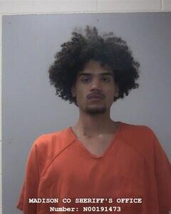 Mugshot of HOUSTON M MITCHELL