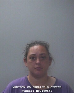Mugshot of NINA M COOK