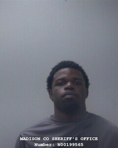 Mugshot of JAMES L WILSON