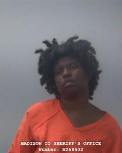 Mugshot of DION N BOWDEN