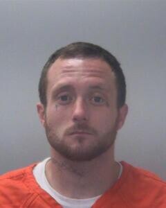 Mugshot of DYLAN M NELSON