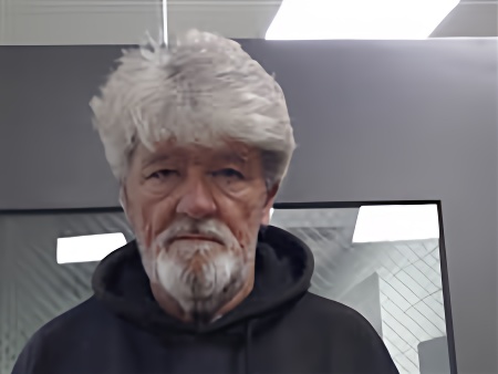 Mugshot of ALAN HENDERSON
