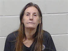 Mugshot of BRENDA HOLLON