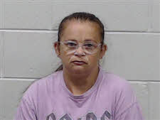 Mugshot of MEAGAN WILSON