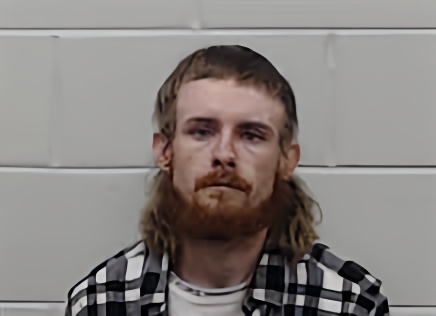 Mugshot of BRANDON HOWARD