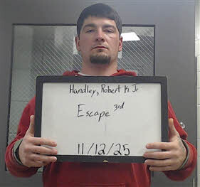 Mugshot of ROBERT HANDLEY