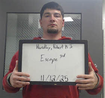 Mugshot of ROBERT HANDLEY