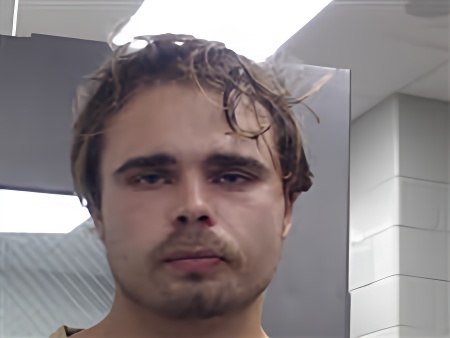 Mugshot of MASON PARNELL