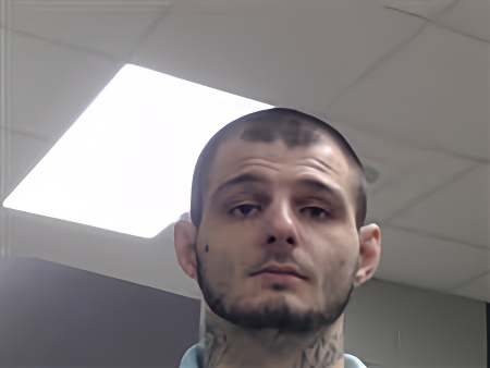 Mugshot of TANNER LIVERMAN