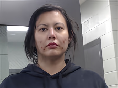 Mugshot of ERICA MILLER