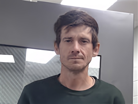 Mugshot of BRANDON FELTMAN