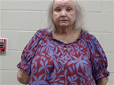 Mugshot of CAROLYN LIONS