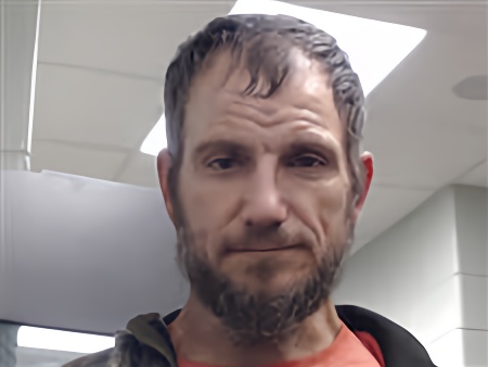 Mugshot of JASON WILLIAMSON