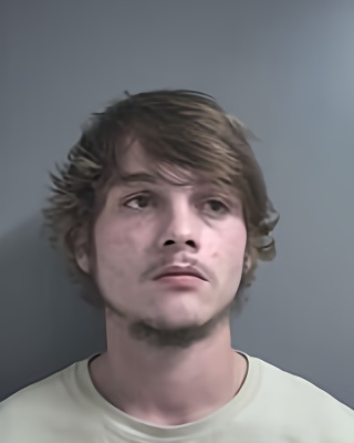Mugshot of WILLIAM ALLRED