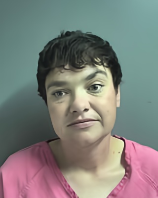 Mugshot of HOLLY SANFORD
