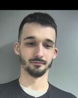 Mugshot of HARLESS BATTLES