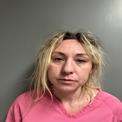 Mugshot of CYNTHIA WILLIAMS