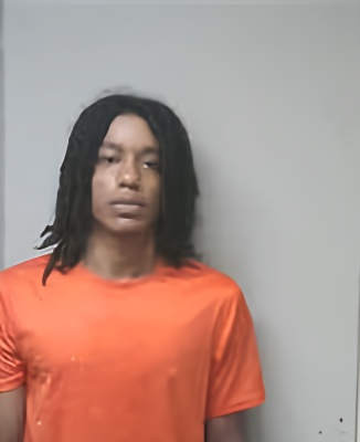 Mugshot of ALEX RICE