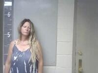 Mugshot of BRANDY GARMON