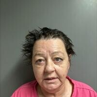 Mugshot of MELISSA WEBB