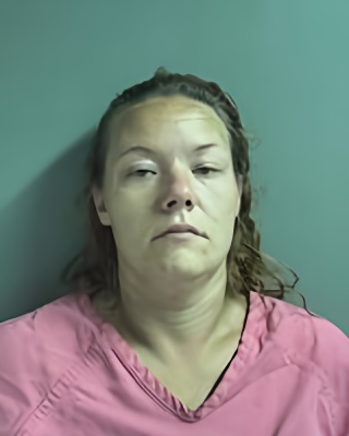 Mugshot of JESSICA WILSON