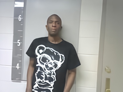 Mugshot of TYRE WATKINS