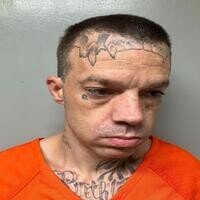 Mugshot of TERRY MORTON
