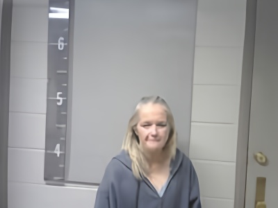 Mugshot of HALEY WILKS