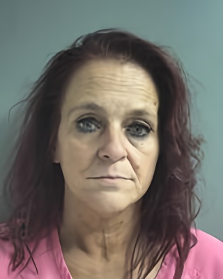 Mugshot of CHERYL RIDDLE