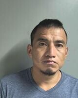 Mugshot of LUIS GARCIA