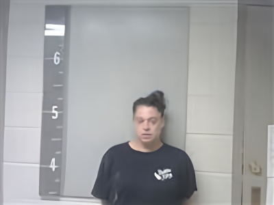 Mugshot of HEATHER STAPLER