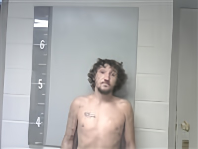 Mugshot of LUTHER BANKS