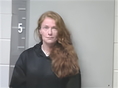 Mugshot of MARY SNIDER