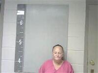 Mugshot of MICHELE POWERS