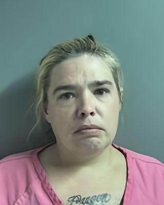 Mugshot of BRANDY HILL