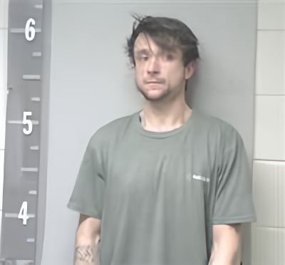 Mugshot of TRISTIAN COWEN