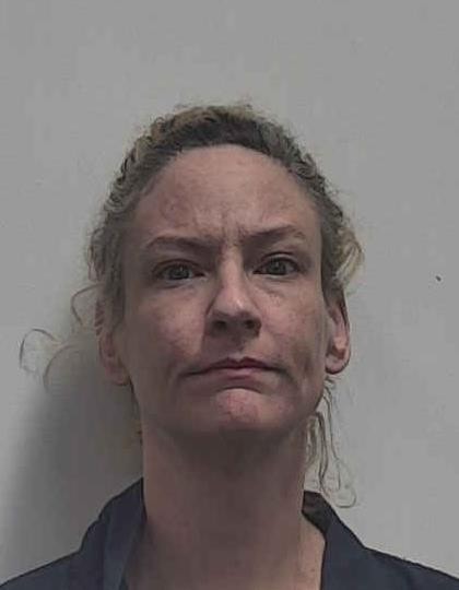 Mugshot of ALLISON LEE SHEHANE