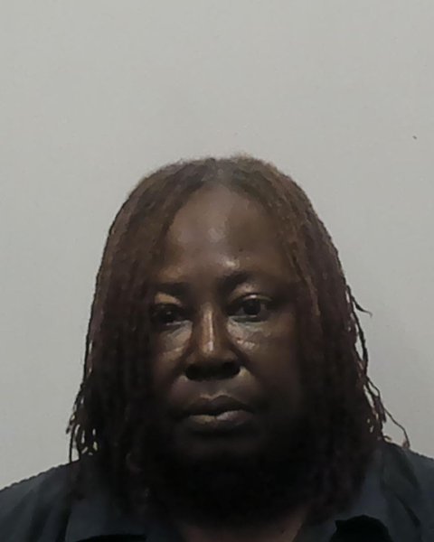 Mugshot of NATALIE COLETTE LEWIS