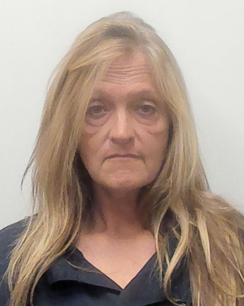 Mugshot of JENNIFER LEE TERRY