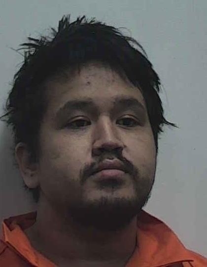 Mugshot of BRYAN DAO