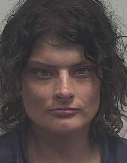 Mugshot of DANIELLE RAHNE BROWN