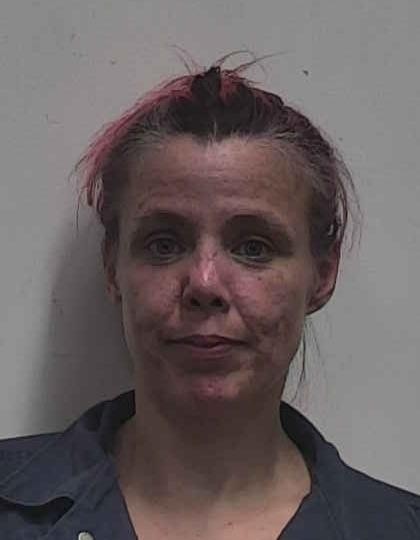 Mugshot of MARY LEA VANCE