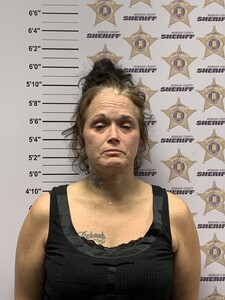Mugshot of PAULA MICHELLE DAVIS