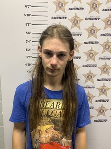 Mugshot of DAVID TYLER BRASWELL