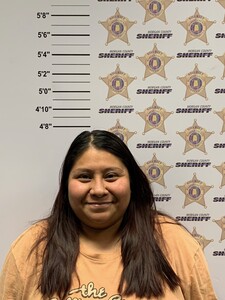 Mugshot of YARELI DIAZ SERAFIN