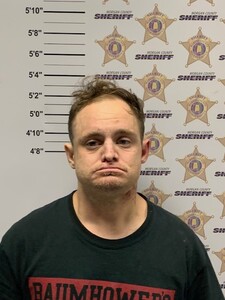 Mugshot of CHARLES COE LYONS